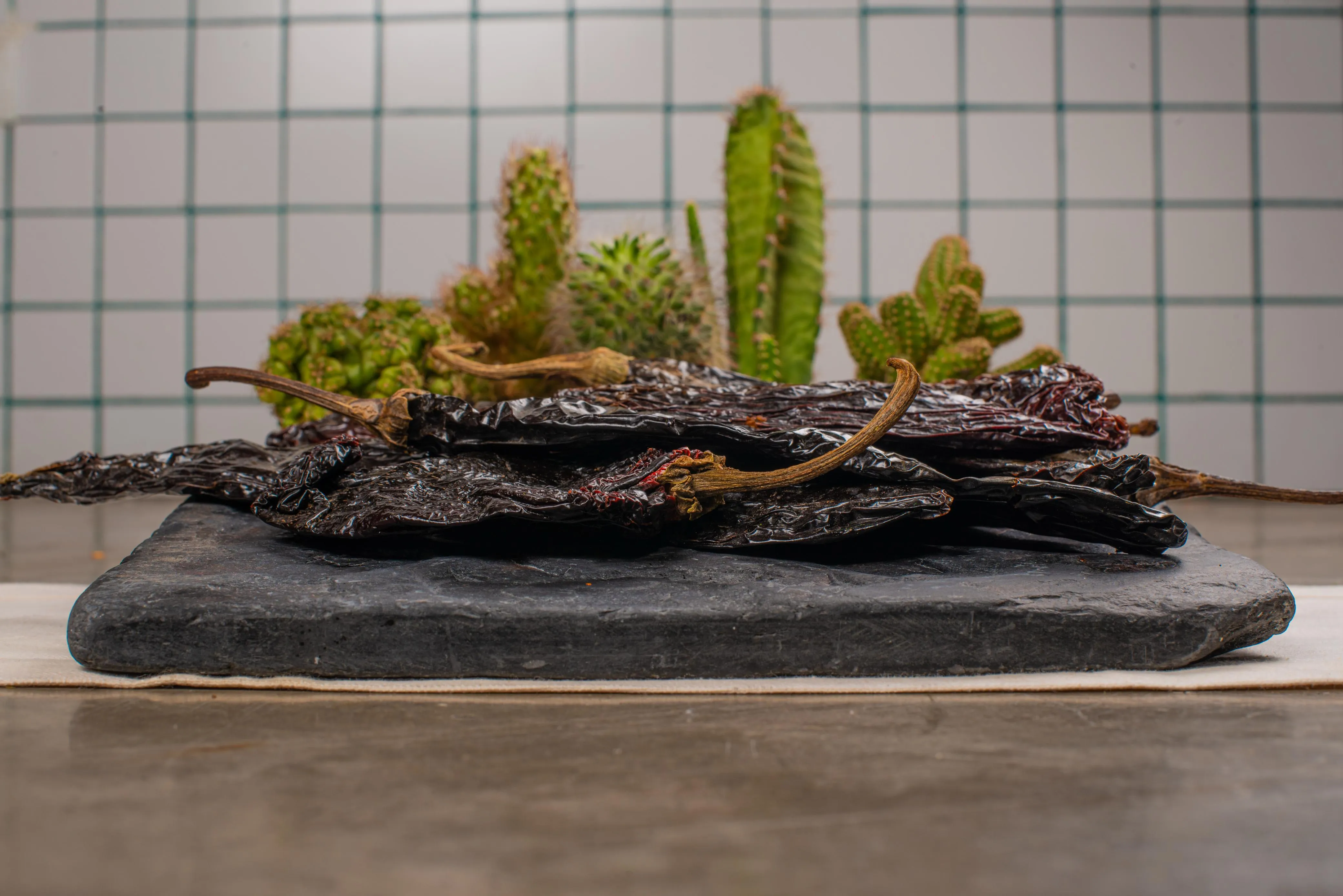 Carrusel Domicilio 5