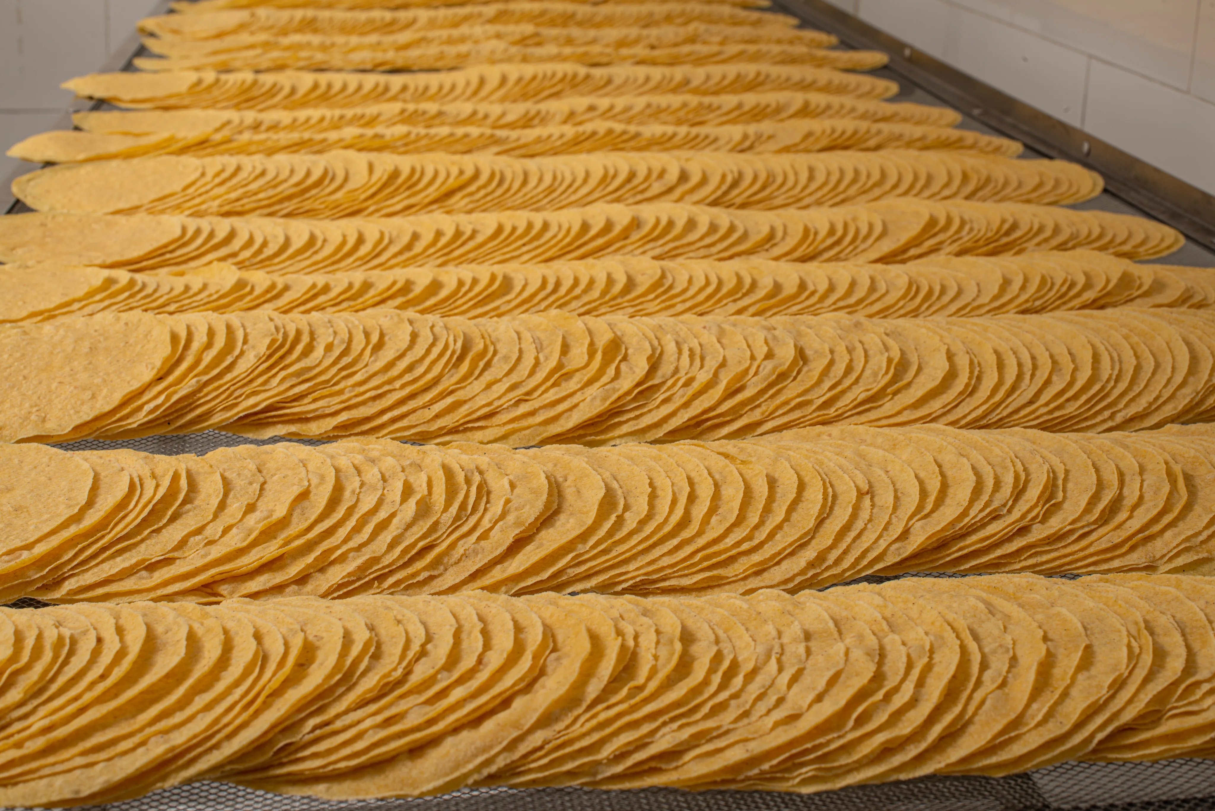 Distribución Chicanos